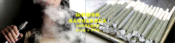 сатива Арсеньев
