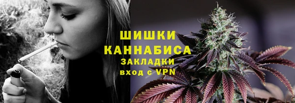 хмурый Медногорск