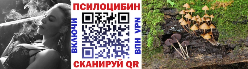 OMG ссылка  продажа наркотиков  Большой Камень  Галлюциногенные грибы Psilocybine cubensis 